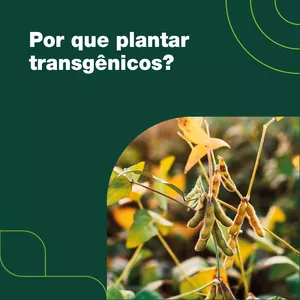 Imagem de capa para o Curso online Por que plantar transgênicos?