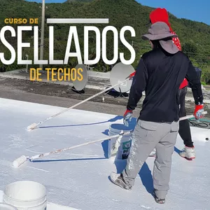 Imagen de portada para Curso online Curso de sellado de techos