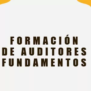 Imagen de portada para Curso online Formación de auditores, fundamentos con base en la ISO 19011:2018