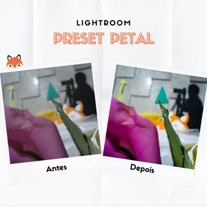 Imagem de capa para o Curso online Preset Petal