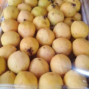 Imagen de portada para Curso online KING