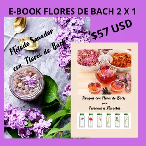 Imagen de portada para Ebook Método sanador y terapias con Flores de Bach