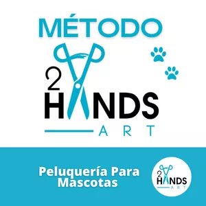 Imagen de portada para Curso online Método 2HANDS ART 