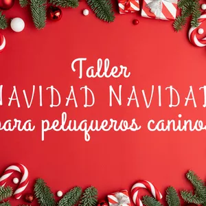 Imagen de portada para Curso online 🤶Taller de NAVIDAD para peluqueros caninos🤶