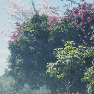 Imagem do curso Liderança Transformacional: Engajando Equipes e Gerando Resultados