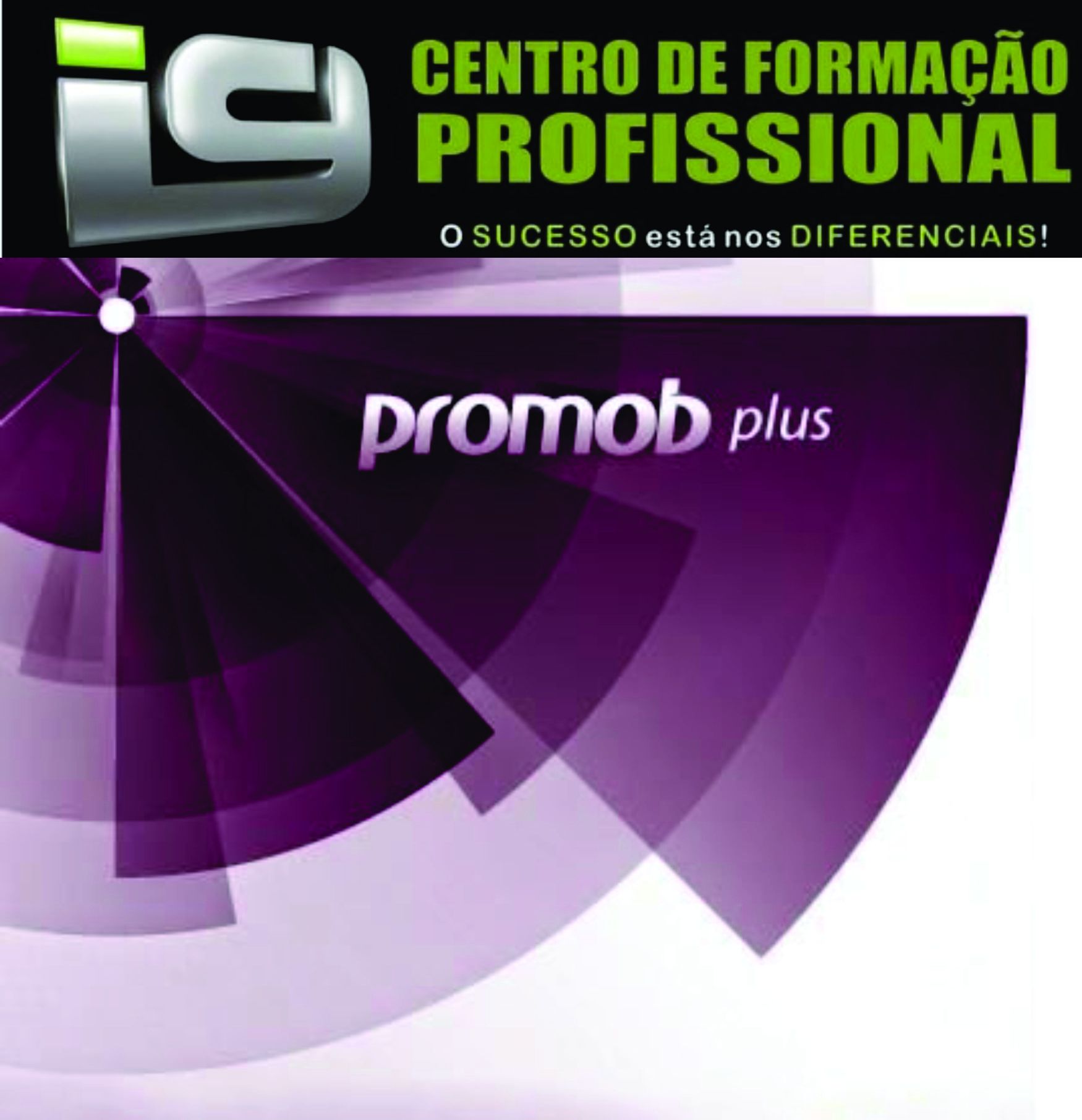 CURSO PROMOB PLUS