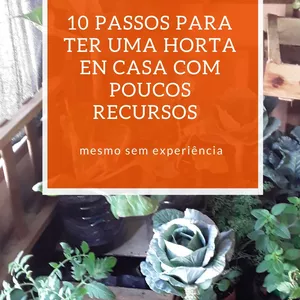Imagem de capa para o Ebook 10 passos para ter uma horta com poucos recursos mesmo sem experiência 