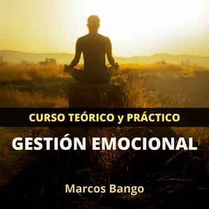 Imagen de portada para Curso online Curso teórico y práctico de gestión emocional