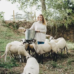 Imagen de portada para Curso online Animales de la granja 