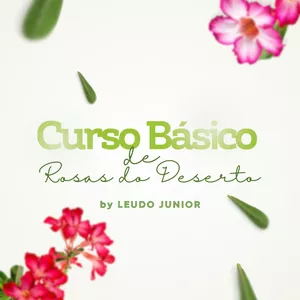 Imagem de capa para o Curso online CURSO BÁSICO DE ROSAS DO DESERTO
