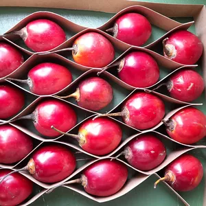 Imagen de portada para Curso online Separadores para fruta