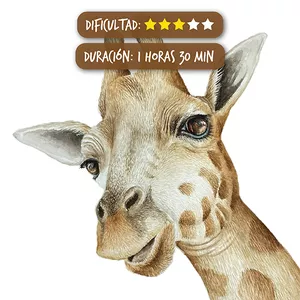 Imagen de portada para Curso online Jirafa en acuarela