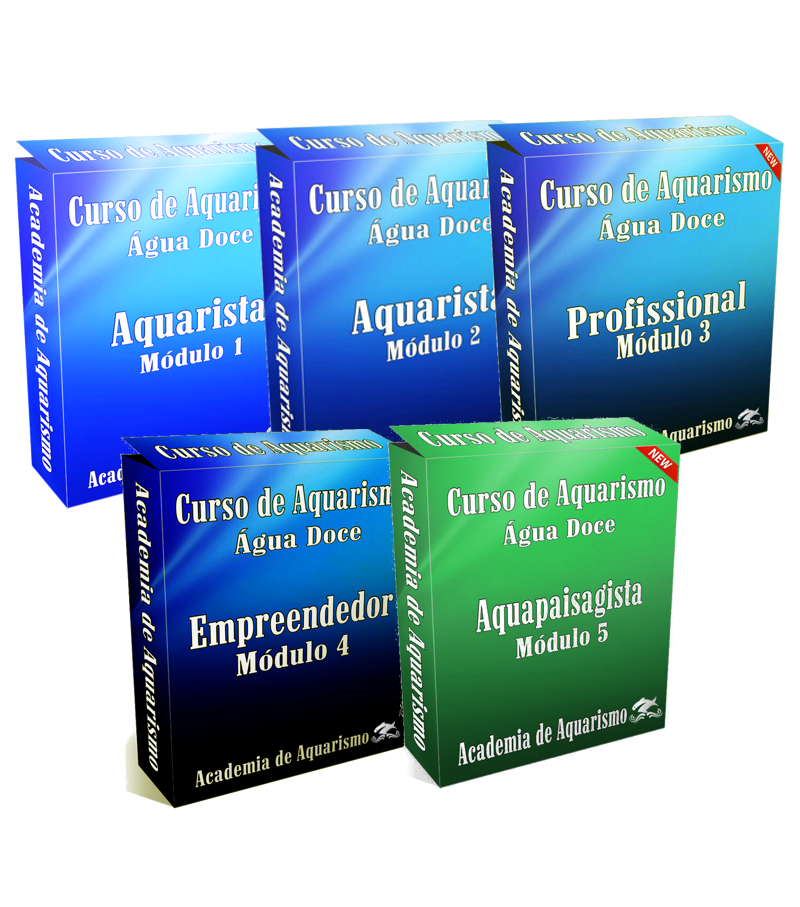 Capa do curso 