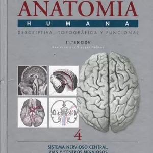 Imagen de portada para Ebook Libro Anatomía Humana - descriptiva, topográfica y funcional 11va edición. (Henri Rouvière y André Delmas)