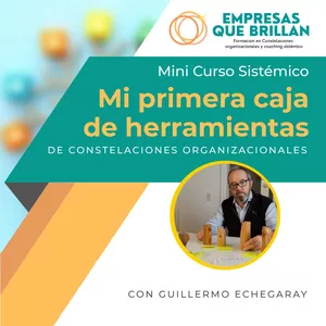 Imagen de portada para Curso online Mini Curso Herramientas Sistémicas 