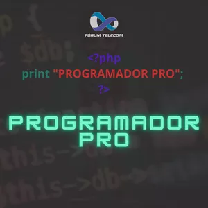 Imagem de capa para o Curso online Programador Pro