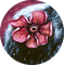 The Intuitive Artist Academy