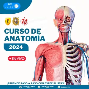 Imagen de portada para Curso online Anatomía Humana - Exclusivo