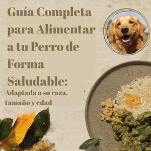 Imagen de portada para Ebook Guía Completa para Alimentar a tu Perro de Forma Saludable: Adaptada a su raza, tamaño y edad