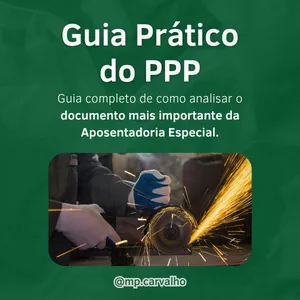 Imagem de capa para o Ebook Guia prático do PPP