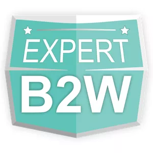 Imagem de capa para o Curso online EXPERT B2W