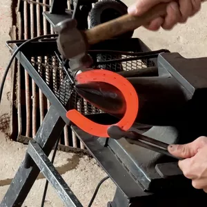 Imagem de capa para o Curso online Casqueamento e Ferrageamento