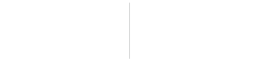 Behavioral Design Academy logo