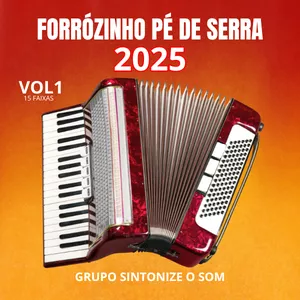 Imagem de capa para o Curso online Seleção forrózinho pé de serra Vol1