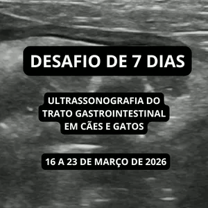 Imagem de capa para o Curso online Desafio de 7 dias: Ultrassom do trato gastrointestinal em cães e gatos