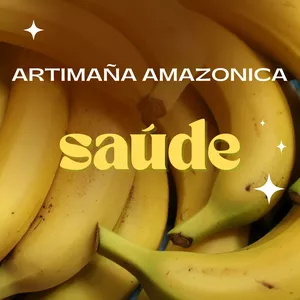 Imagen de portada para Curso online ARTIMAÑA AMAZONICA