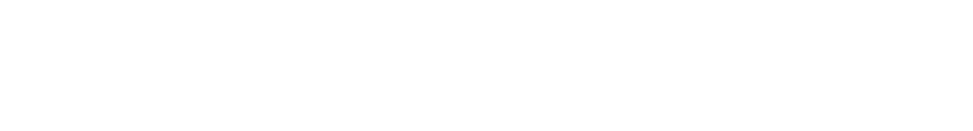 Prota Software logo
