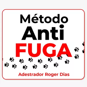 Imagem de capa para o Curso online Método Anti Fuga