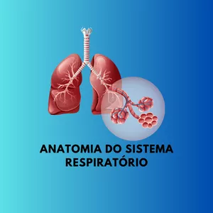 Imagem de capa para o Curso online Anatomia do Sistema Respiratório