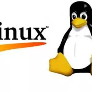Imagem principal do produto Linux for dummies