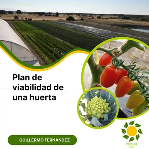 Imagen de portada para Curso online Estudio de Viabilidad de tu huerta
