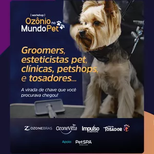 Imagem do curso Workshop Ozônio no mundo PET