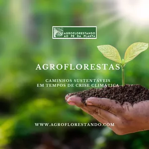 Imagem de capa para o Ebook E-book Agroflorestas: Caminhos Sustentáveis em Tempos de Crise Climática