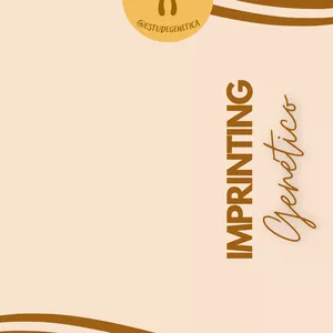 Imagem de capa para o Ebook E-BOOK: Imprinting Genômico