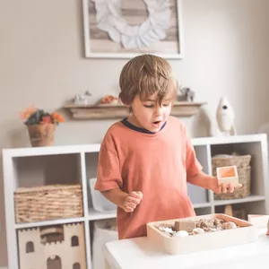 Imagem de capa para o Curso online Curso Montessori: Transforme sua Prática Pedagógica