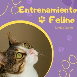 Imagen de portada para Ebook Domina el Arte de Educar a Tu Gato
