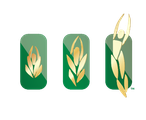 The JOY Institute logo
