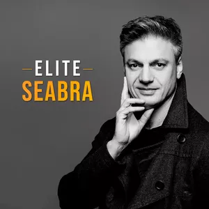 Imagem de capa para o Curso online Elite Seabra