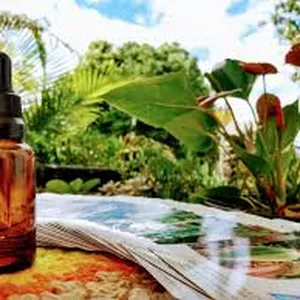 Reiki Florais Etéricos (Pack com 4 sistemas)
