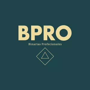 Imagen de portada para Ebook BPRO Gestión