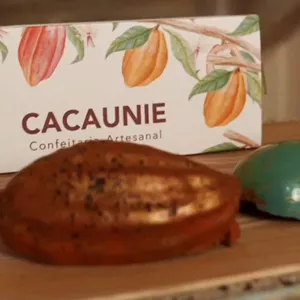 Imagem de capa para o Curso online Chocolate Express | Cacaunie