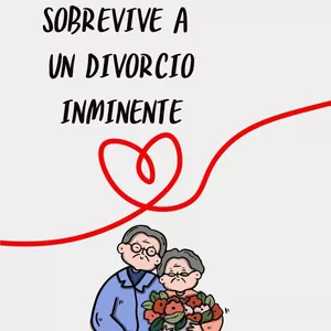 Imagen de portada para Ebook SOBREVIVE A UN DIVORCIO INMINENTE