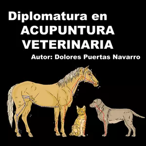 Imagen de portada para Curso online Diplomatura en Acupuntura Veterinaria