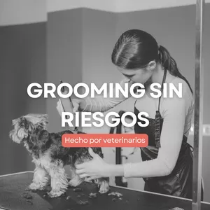 Imagen de portada para Curso online Grooming sin riesgos