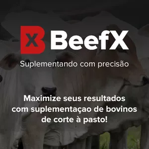 Imagem de capa para o Curso online BeefX - Suplementando com precisão