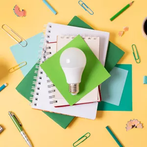 Imagem do curso Elaboração de Projetos Educativos Sócio-Ambientais